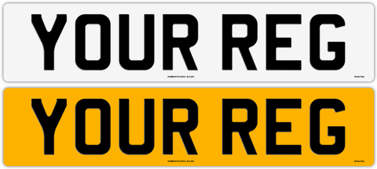 4D Plate