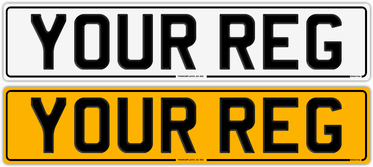 Regular Plate